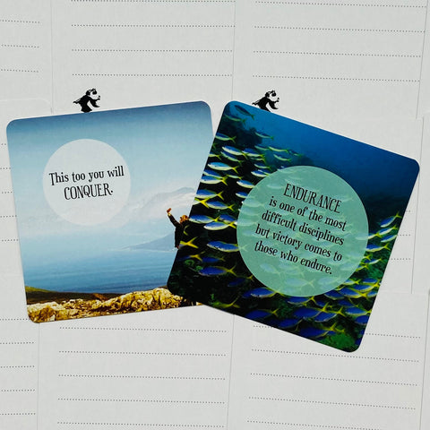 Inspirational Healing Notes cards US Games Systems