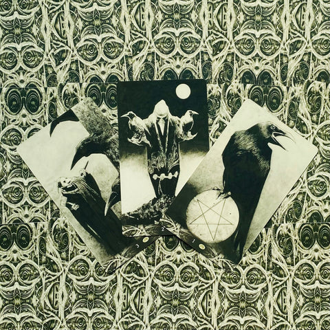 Murder Of Crows Tarot Cards Deck By Corrado Roi Esoteric Telling Lo Scarabeo NEW