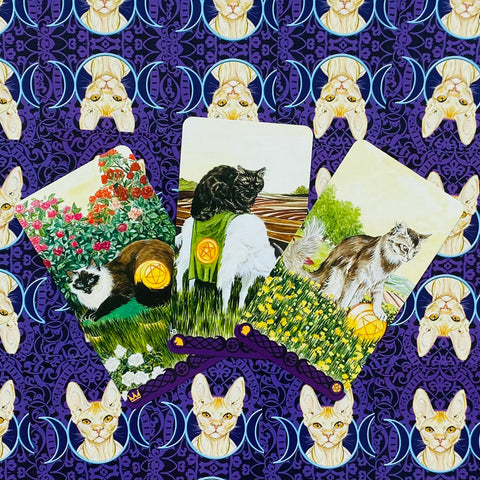 Tarot Of Pagan Cats Deck Cards Airaghi Lo Scarabeo Esoteric Fortune Telling NEW