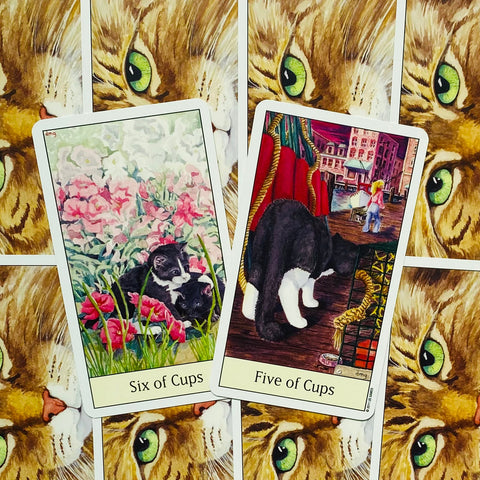 Cats Eye Tarot Deck Cards Esoteric Telling Cute US Games Systems NEW
