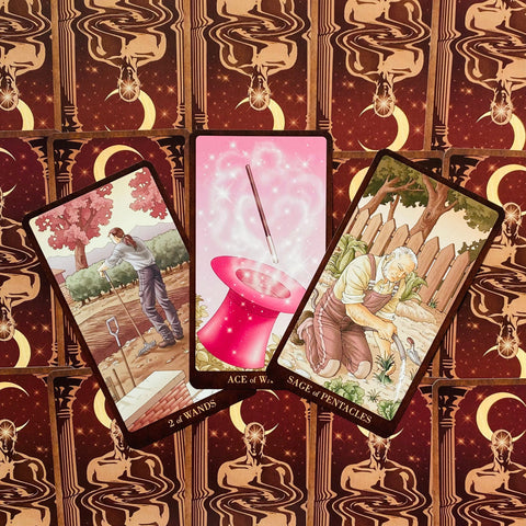Gay Tarot Deck 78 Cards Lo Scarabeo LGBT Fortune Telling Divination