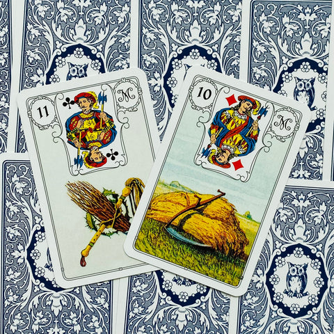 Blue Owl By Mlle Lenormand 36 Cards Deck Esoteric Fortune Telling Agm 1067012979