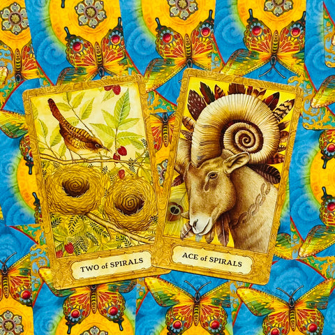 Chrysalis Tarot Deck & Guidebook Set 78 Cards by US Games Systems