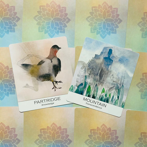 Nature & Soul Yoga Wisdom Cards Deck by US Games with Guidebook