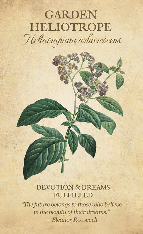 Botanical Inspirations Oracle Cards Deck & Guidebook Set US Games