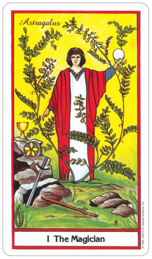 The Herbal Tarot Deck by Michael Tierra Candis Cantin 78 Cards US Games