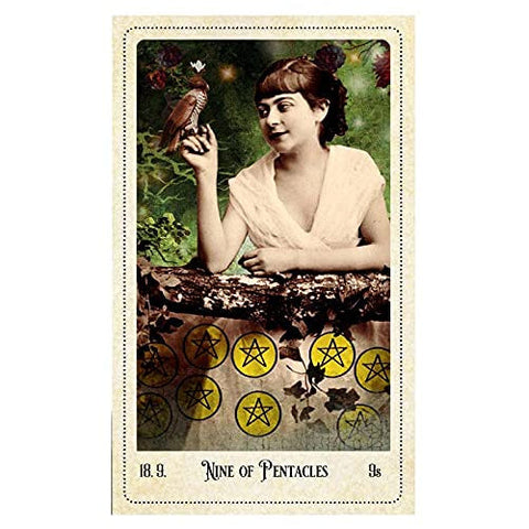 Relative Tarot 82-Card Deck & Guidebook by Carrie Paris Weiser Books New