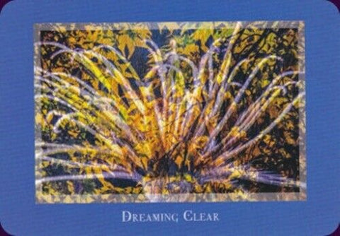 Gaia'S Vision Oracle Cards Deck Original Schiffer Publishing By Susan Starr NEW