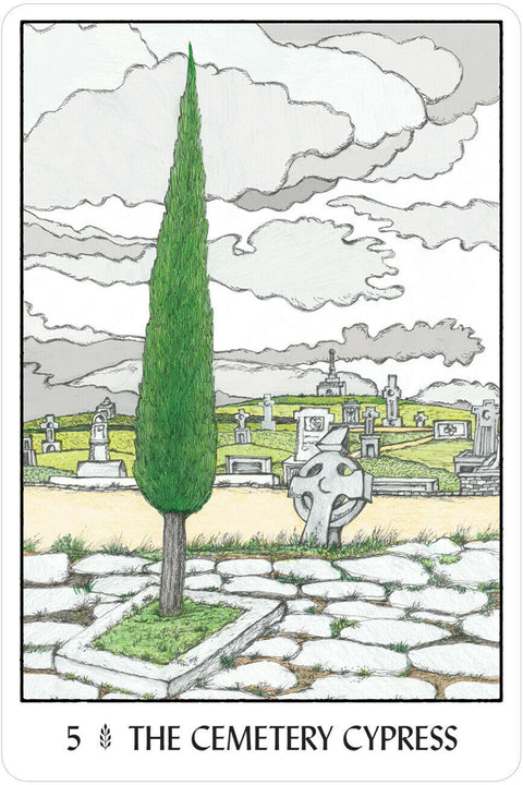 Oracle Of The Trees Cards Deck US Games Systems Esoteric Francesca Valente Oot32