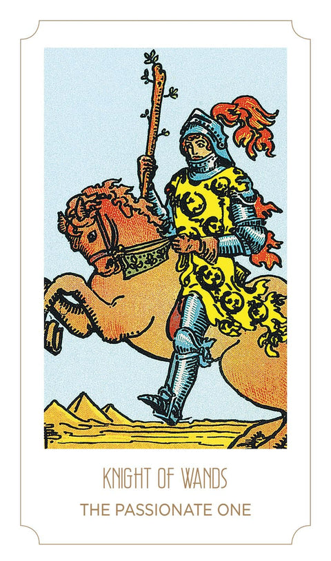 Tarot Young Feel The Vibes Cards Deck Dusserre by Cartamundi
