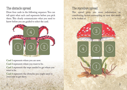 Mushroom Spirit Oracle Cards – Nature Magic & Fungi Wisdom Divination Deck