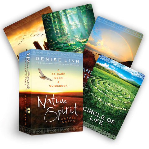 NATIVE SPIRIT ORACLE CARDS DECK & GUIDEBOOK D. LINN SOUL COACHING HAY HOUSE NEW