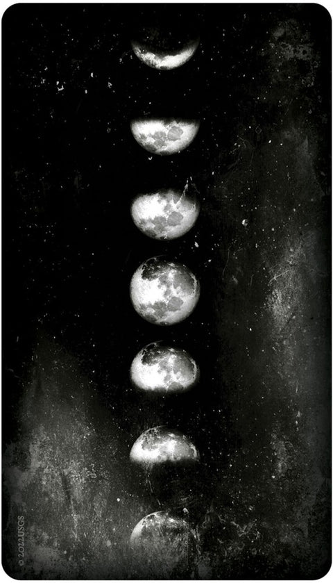 Earthly Souls & Spirits Moon Oracle Tarot Cards Deck US Games Systems NEW