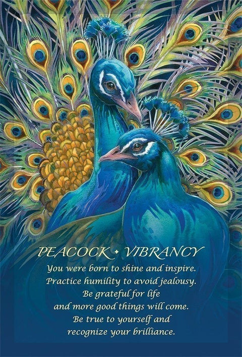 Spirit of the Animals Oracle Card Deck by Jody Bergsma US Games