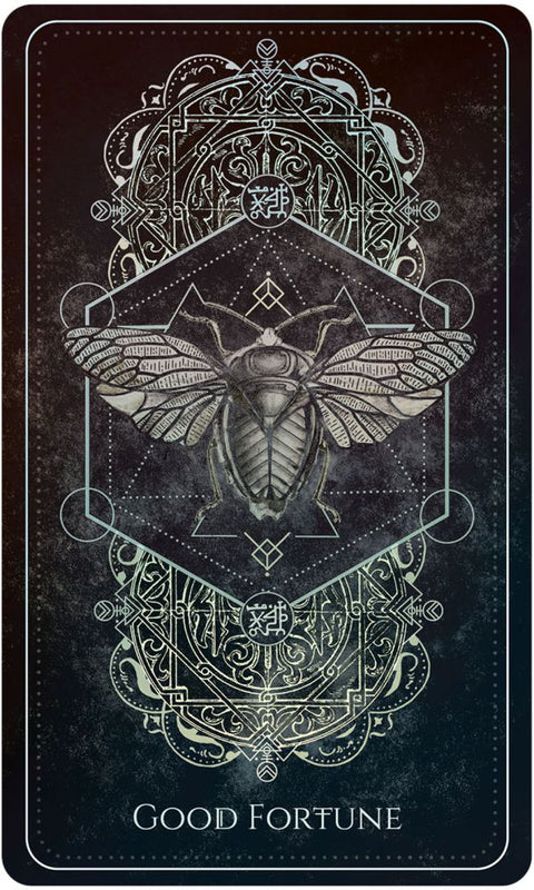 Talisman Oracle Deck by Nora Paskaleva 44 Cards & Guidebook US Games