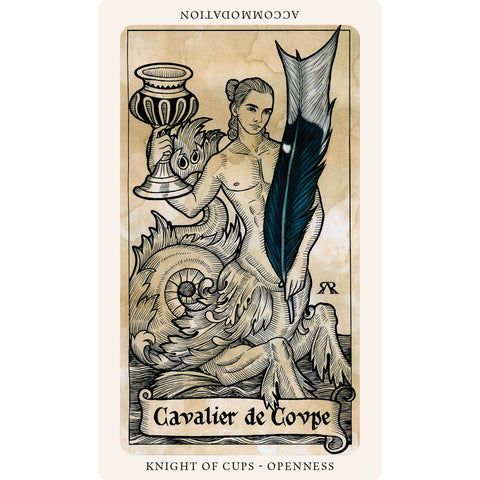 The Medieval Feathers Tarot Cards Deck Alejandro R. Rozan Blue Angel Tmft23