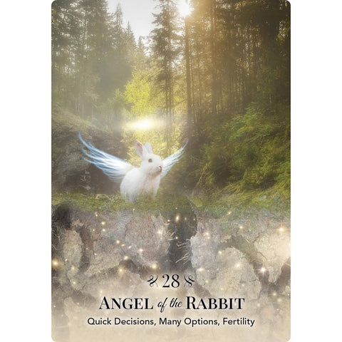 Angels of Nature Oracle Cards Deck Hay House