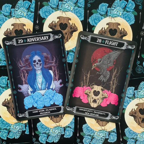 Earth & Bone Oracle Card Deck Rockpool Publishing Sirian Shadow With Bag RP180