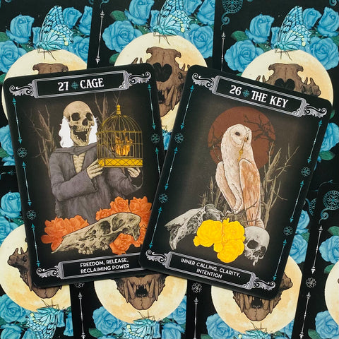 Earth & Bone Oracle Card Deck Rockpool Publishing Sirian Shadow With Bag RP180