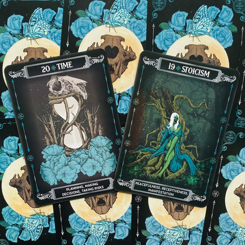 Earth & Bone Oracle Card Deck Rockpool Publishing Sirian Shadow With Bag RP180