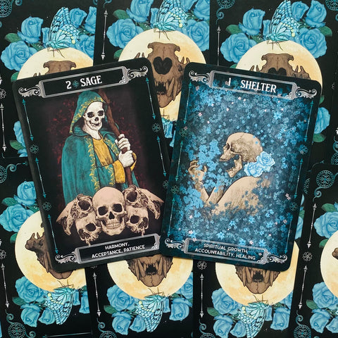 Earth & Bone Oracle Card Deck Rockpool Publishing Sirian Shadow With Bag RP180