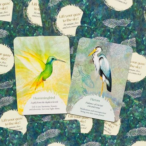 Oracle of the Birds Deck – Spirit Animal Messages, Signs & Inner Guidance