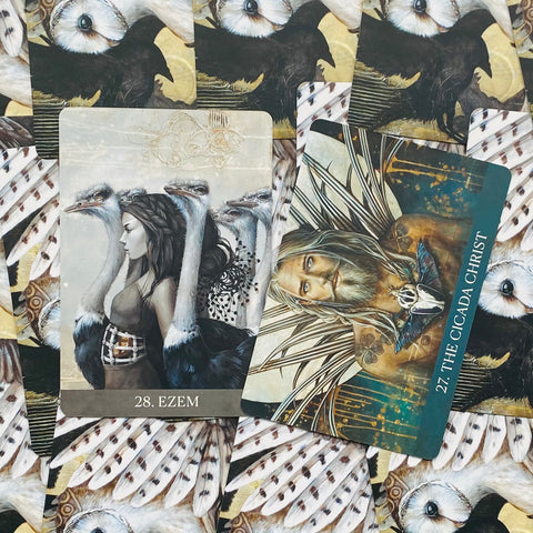 Medicine Heart Oracle Cards Deck & Guidebook Blue Angel  With Bag