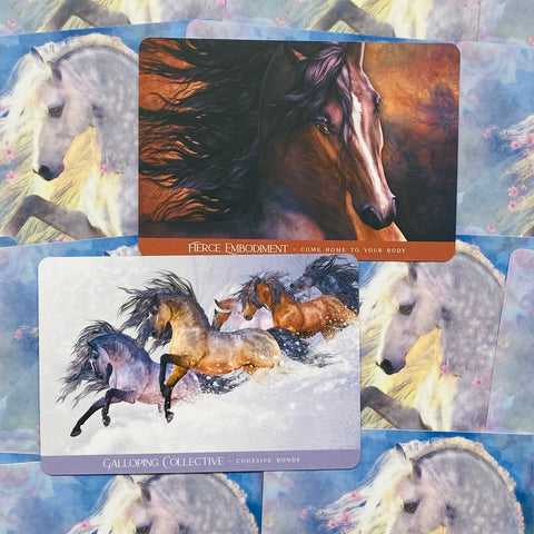 Oracle Of The Sacred Horse Cards Deck & Guidebook Blue Angel  With Bag