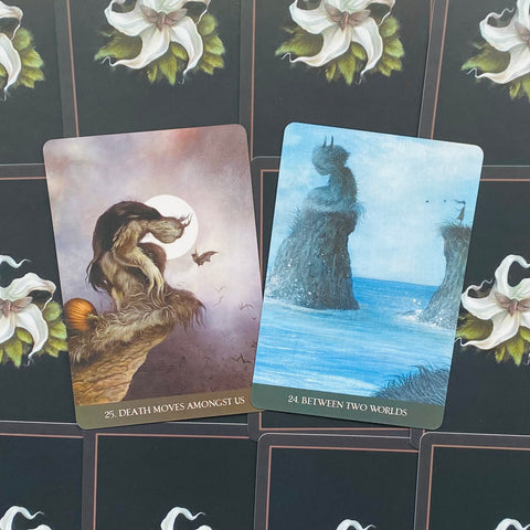 Into The Lonely Woods Oracle Cards Deck Blue Angel Esoteric Lucy Cavendish