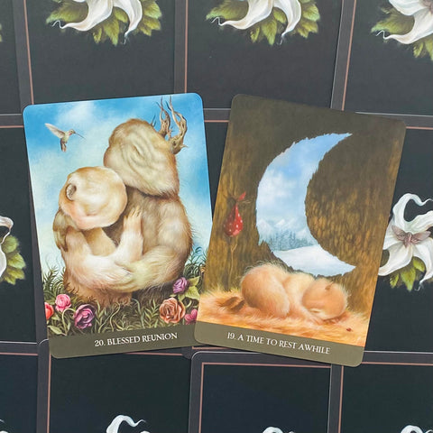 Into The Lonely Woods Oracle Cards Deck Blue Angel Esoteric Lucy Cavendish