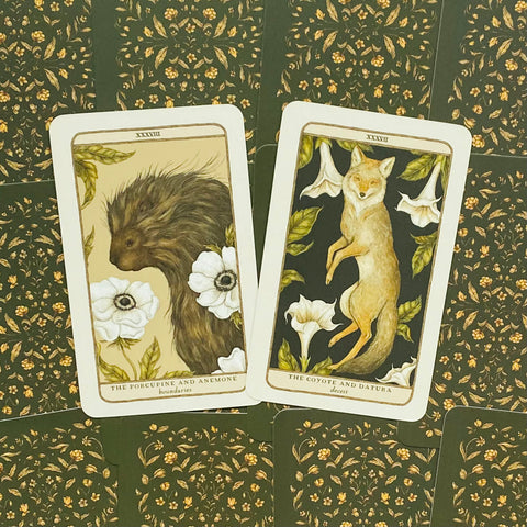 Woodland Wardens Oracle – Animal Spirit Cards Deck & Nature Guidebook