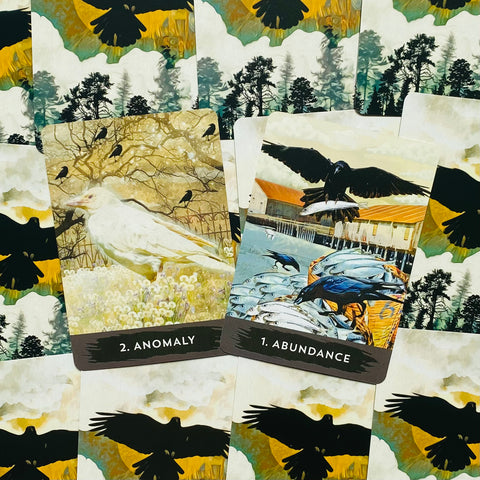 Urban Crow Oracle Cards Deck & Guidebook