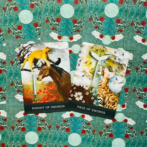 Grimalkin'S Curious Cats Tarot Cards Deck & Guidebook With Bag