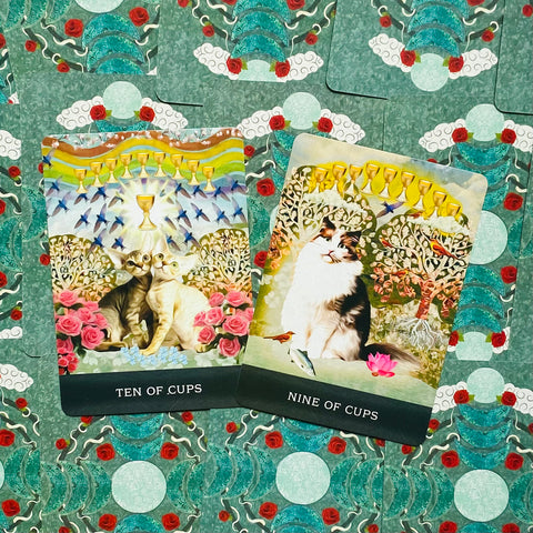 Grimalkin'S Curious Cats Tarot Cards Deck & Guidebook With Bag