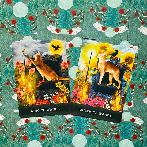 Grimalkin'S Curious Cats Tarot Cards Deck & Guidebook With Bag