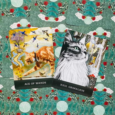 Grimalkin'S Curious Cats Tarot Cards Deck & Guidebook With Bag