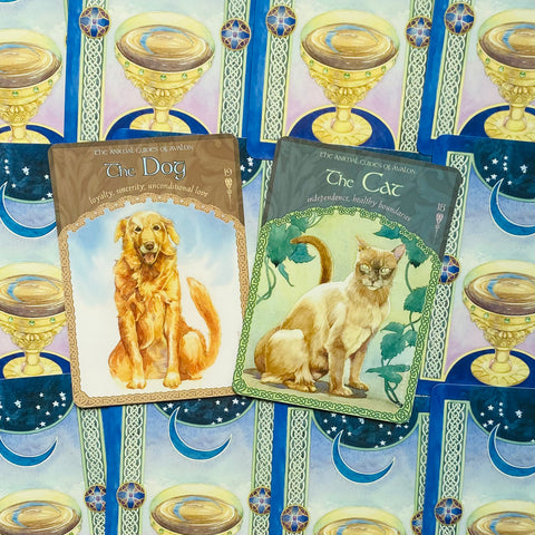 The Wisdom of Avalon Oracle Cards Deck & Guidebook Set