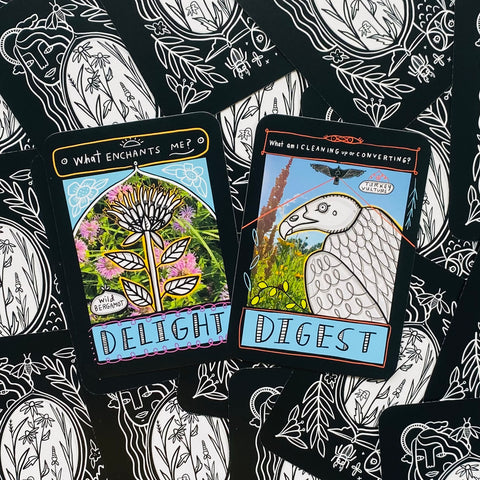 Prairie Majesty Oracle Cards Deck And Guidebook Hay House By Kara Simons