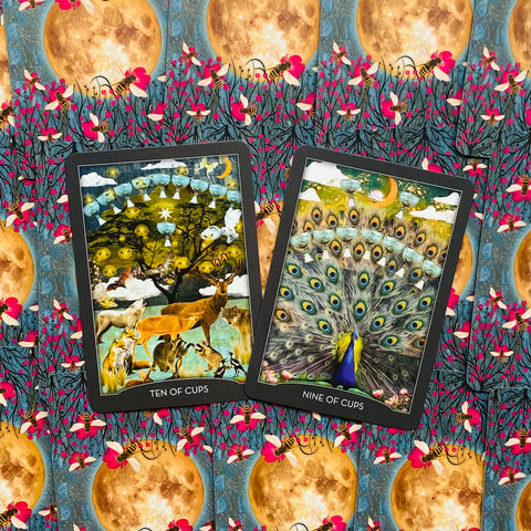 Guardian of the Night Tarot Deck & Signed Guidebook – Animal Spirit Cards With Bag