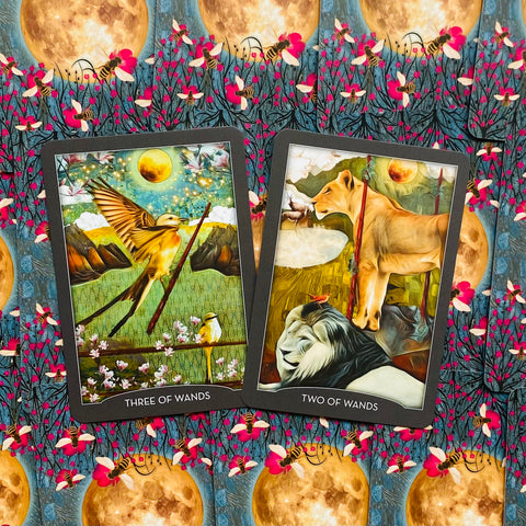 Guardian of the Night Tarot Deck & Signed Guidebook – Animal Spirit Cards With Bag