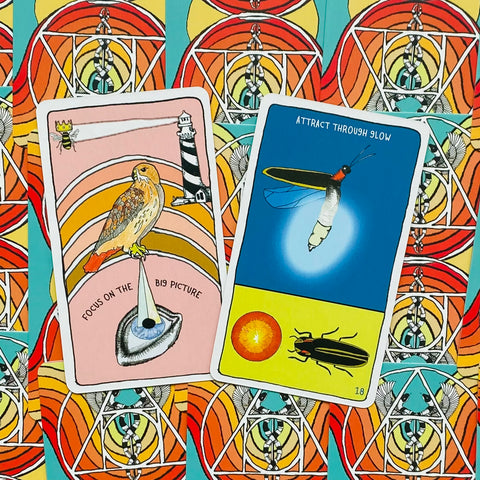 Animal Apothecary Oracle Card Deck And Guidebook Manifestation With Bag