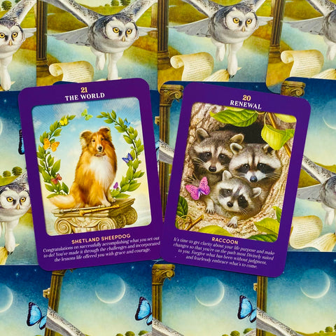 Animal Guides Tarot Cards Deck R. Valentine Divination With Bag