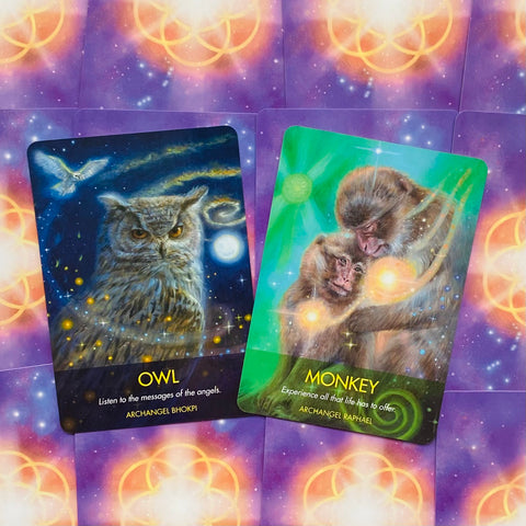 Hay House Archangel Animal Oracle - Angel & Animal Guidance Cards Set