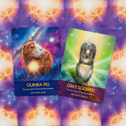 Hay House Archangel Animal Oracle - Angel & Animal Guidance Cards Set