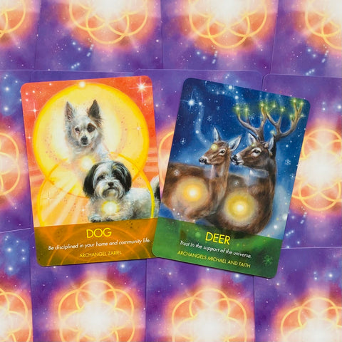 Hay House Archangel Animal Oracle - Angel & Animal Guidance Cards Set