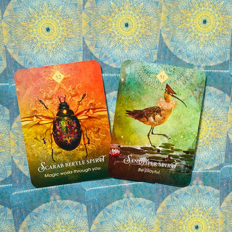 The Spirit Animal Pocket Oracle Cards Deck And Guidebook Tin Box Hay House