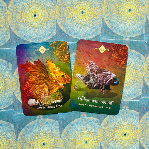 The Spirit Animal Pocket Oracle Cards Deck And Guidebook Tin Box Hay House