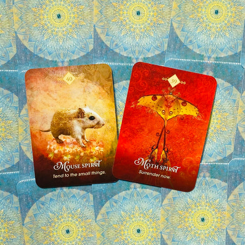 The Spirit Animal Pocket Oracle Cards Deck And Guidebook Tin Box Hay House