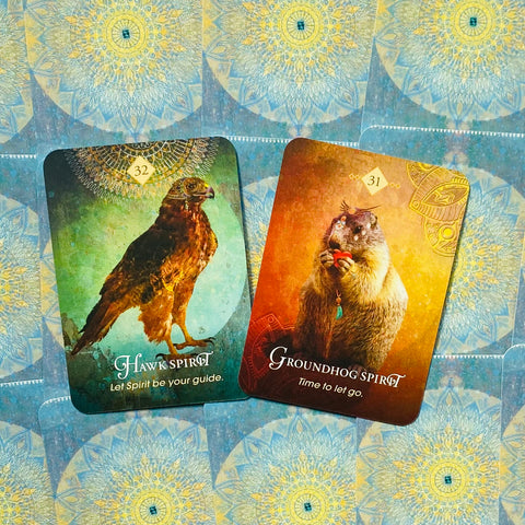 The Spirit Animal Pocket Oracle Cards Deck And Guidebook Tin Box Hay House