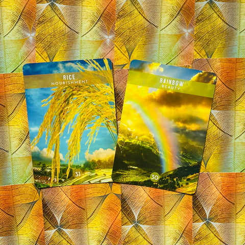 Messages From The Spirits Of Nature Oracle Cards Deck & Guidebook With Bag